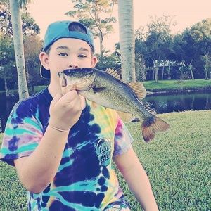 Meet your Posher, Jackson